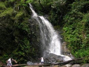 erin-ijesha-waterfall-01