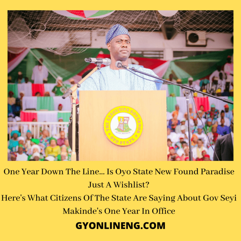 Seyi Makinde One Year In Office