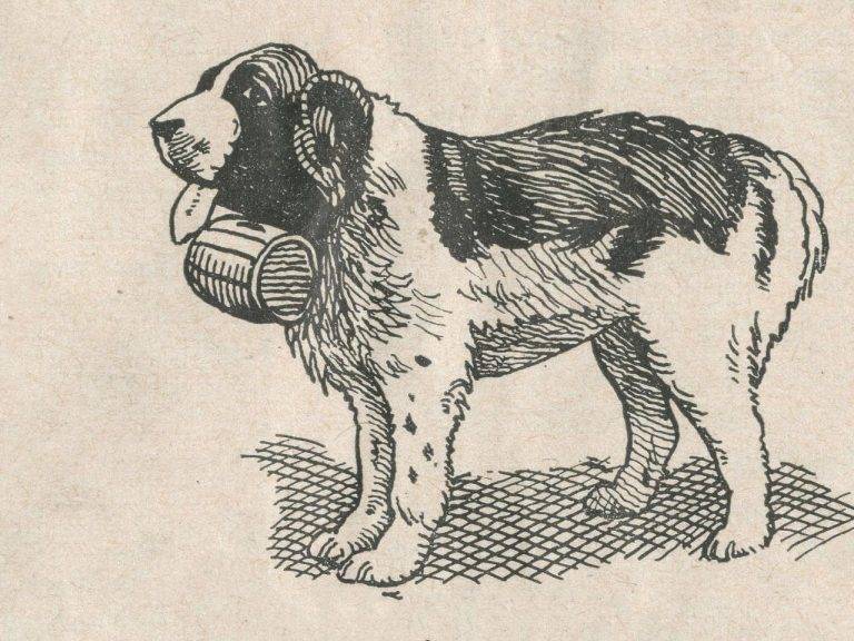 How A Dog Saves Manchester United From Bankruptcy