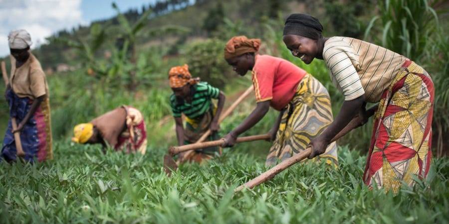 Smallholder Farmer